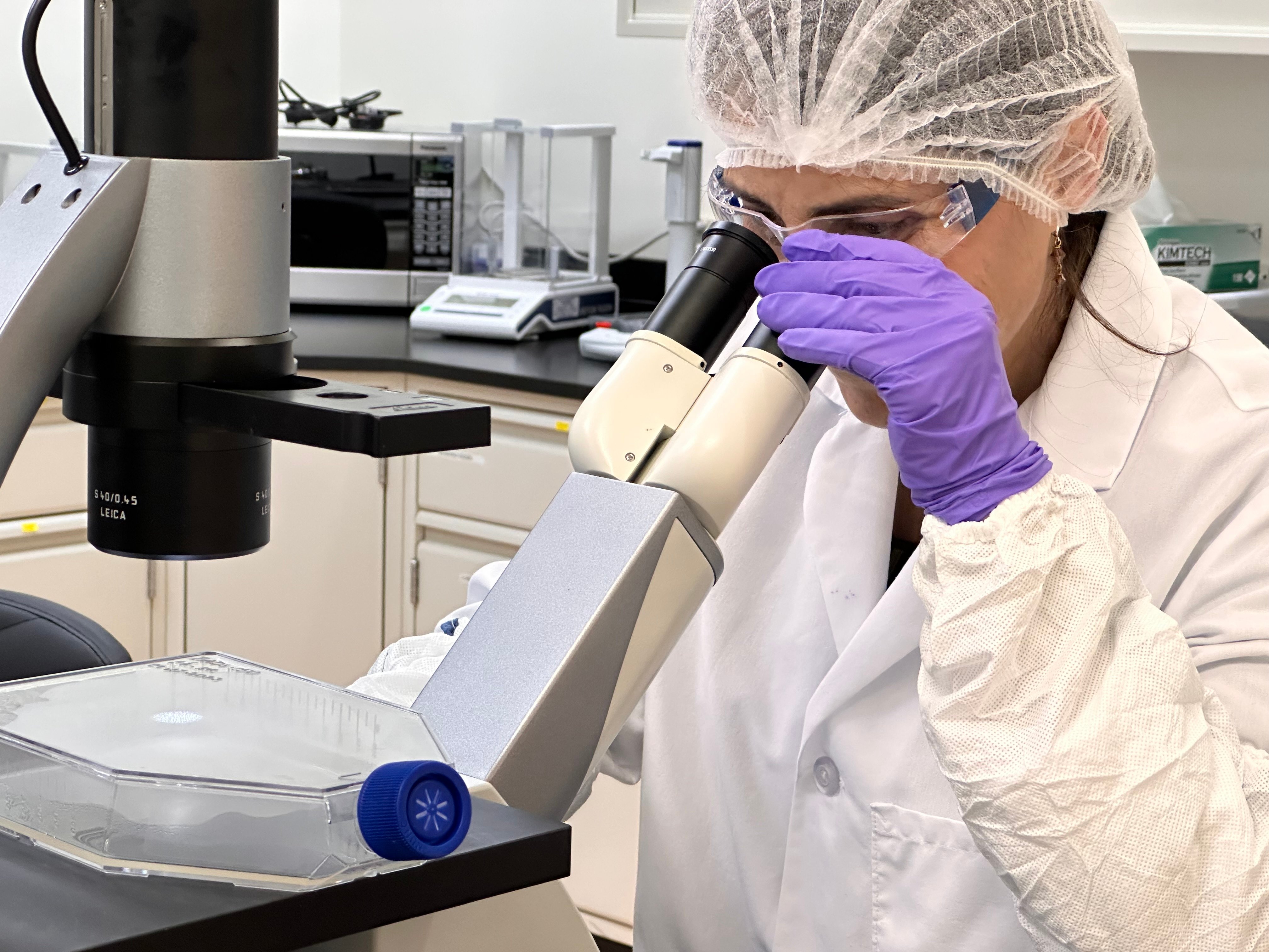 scientist looking through a microscope